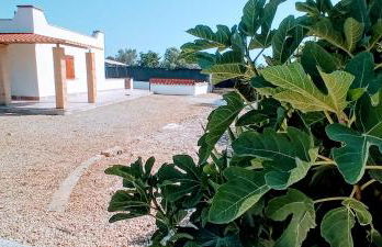 Villa Zaira - Foto 13