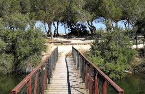 Orosei RE - Villa Aurora Rimedia a 50 metri dal mare - Foto 20