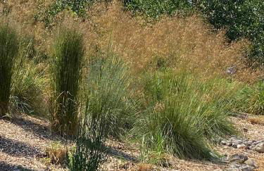 Barnacle Barn, North Norfolk - Foto 31