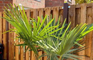 Ferienwohnung Gustav - Moderne Maisonette-Wohnung mit Terrasse - Foto 22
