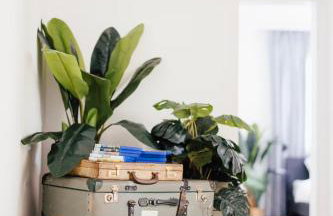 Bahnhofsnahe 9 Zimmer 200QM PS5 für Familien & Firmen - Foto 10