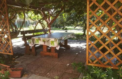 Biologico Dell'Etna - Foto 32