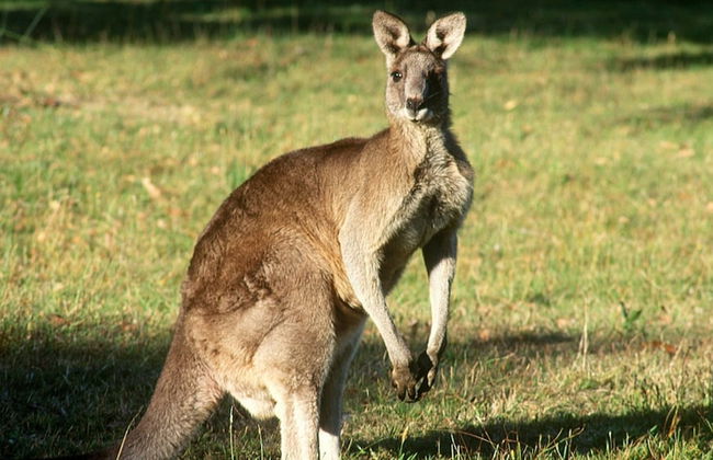 Nutkin Lodge - Photo 73