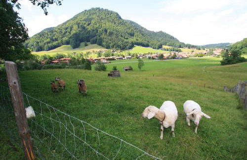 Schneider-Hof inkl. Chiemgaukarte - Foto 11