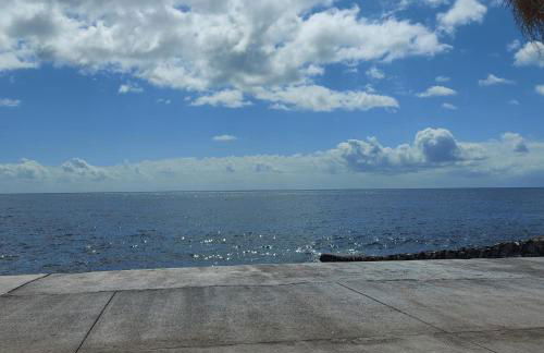 Casa Flor de Laranjeira - Photo 6