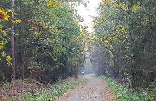 Morskie Opowieści - Foto 79