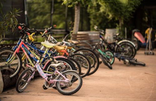 Agriturismo Gallo - Foto 73