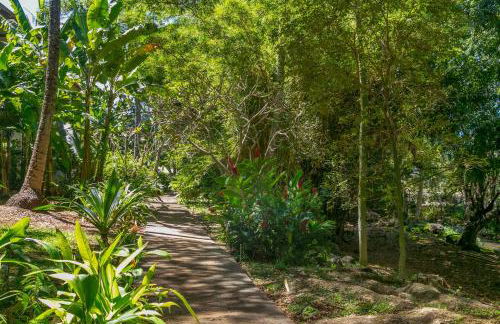 Waikomo Stream Villas 103 - Foto 25