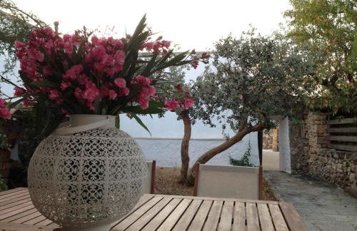 Masseria Trulli&Stelle B&B - Foto 52