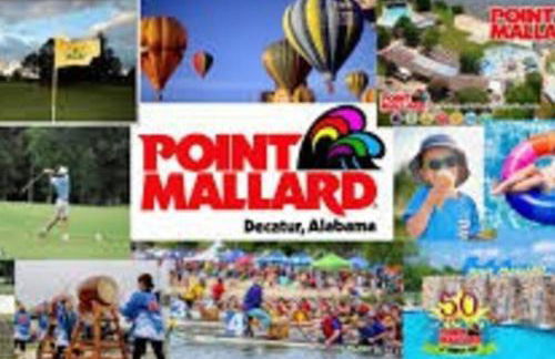 Beautiful Spacious 3 BR brick home for the family - Photo 24