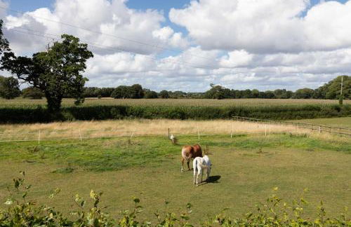 Stunning studio flat with dedicated private garden - Photo 21