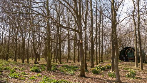 The Stables, Theberton - Foto 2