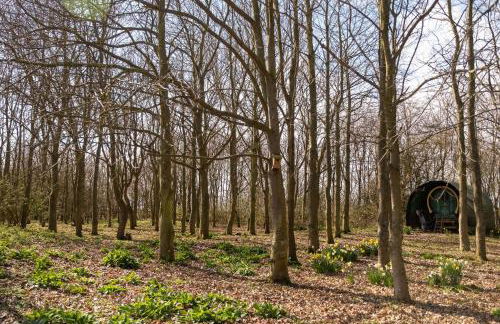 The Stables, Theberton - Foto 2