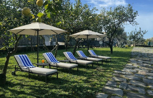 Lemon Factor Sorrento - Photo 76