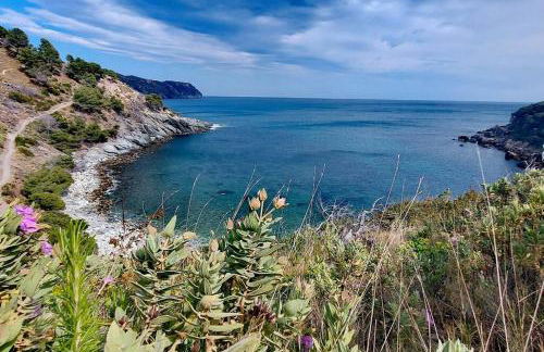 Sunsetmare Vacational Apartment - Photo 71