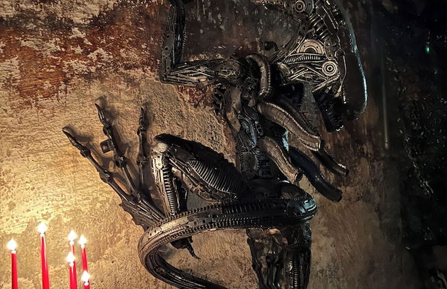 Carli's Base Camp - Photo 18