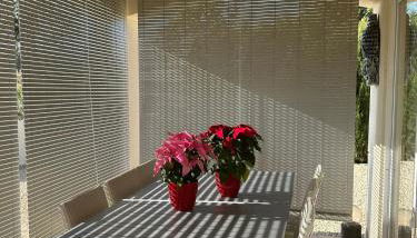 Fabulosa Adelfas : entre mar y montañas - Foto 5