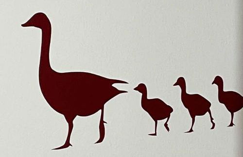 Ferienwohnung Haus Gänseplatz - Foto 13