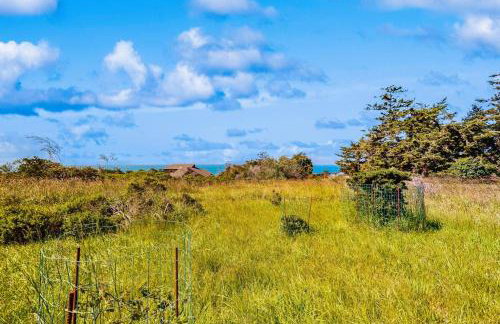 Wild Meadow - Photo 21