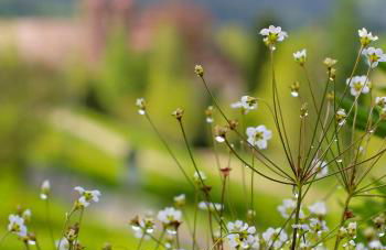 Design House In Black Forest Near Baiersbronn - Photo 25