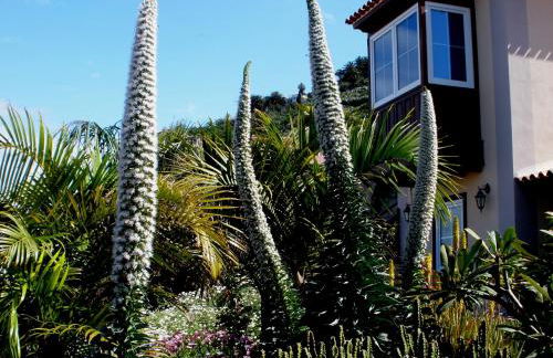 Apartamento MAR Y TEIDE - Foto 1