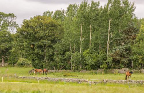 Thirley Beck Lodge - Foto 12