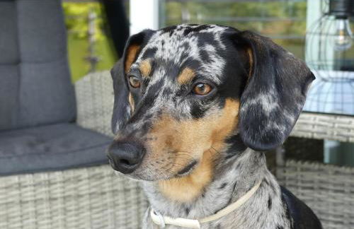 Holiday apartment with 2 bedrooms - Photo 14