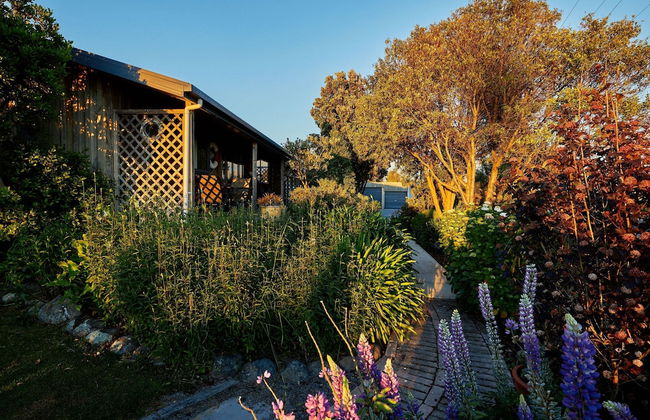 Barnacle Bills - Photo 59