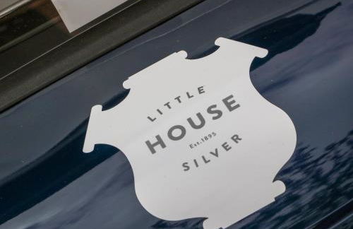 Little Silver Owl - Foto 24