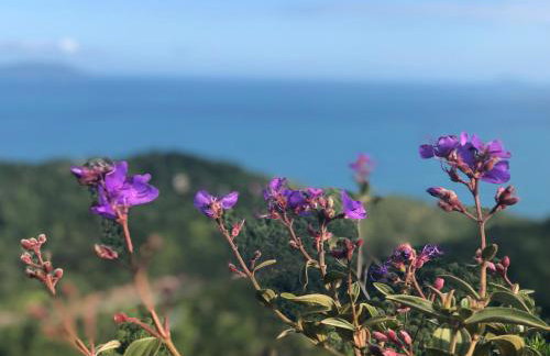 Casa de Praia em Bombinhas com Vista 3 quartos - Photo 29