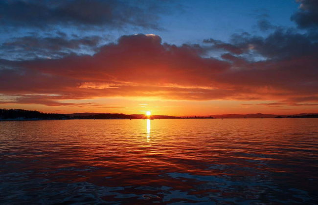 Paseo en barco eléctrico por el fiordo de Oslo - Foto 7