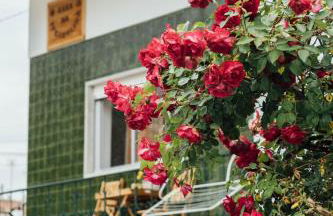 Casa Ti Carolina - Foto 61