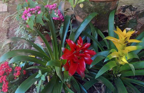 Chácara com acesso à represa - Foto 29