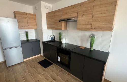 Apartament Dolina Baryczy - Foto 6