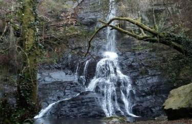 Apartamento con piscina - Foto 10