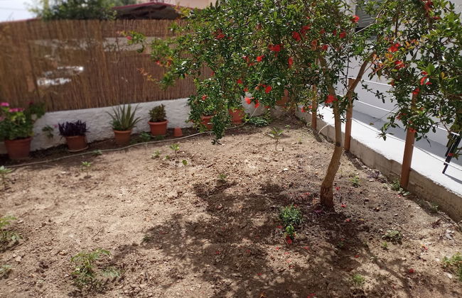 Mar-Jo Holiday Home - Foto 52