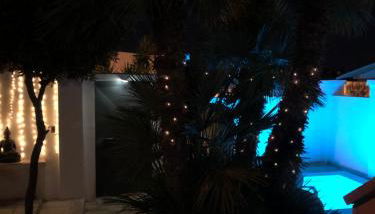 Le Due Pigne - Foto 3, Garden, Garden view