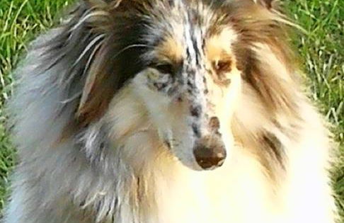 Corte Ventaglio - Foto 5