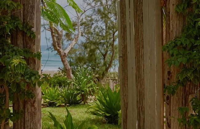 Casa Algodoal - Photo 44