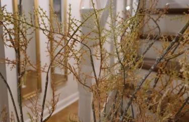 Gruppenhaus mit Grillkota für 16 Personen in Hahnenklee - Foto 21