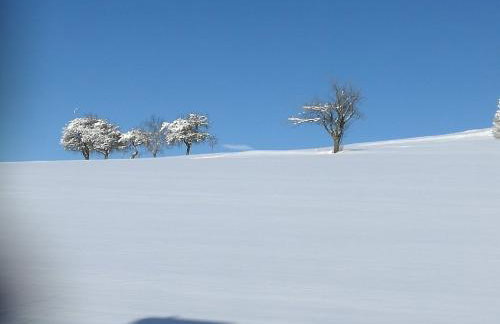 Ferienwohnung Leute - Foto 28