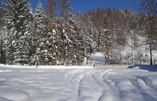 Agroturystyka u Chlebków - Photo 70