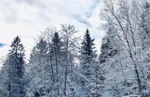 Ferienwohnung Schwarzwald Oase Kniebis - Foto 26