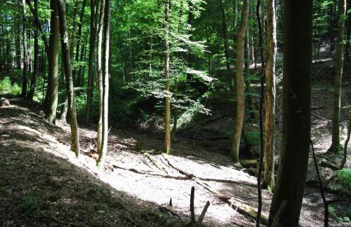 Ferienwohnung zur Mühle - Foto 80