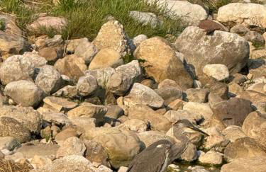 Apartamentos El Caxigu - Foto 59