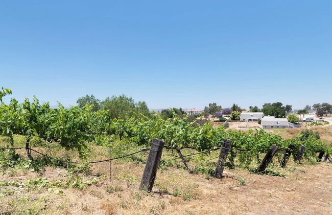 Bear Bridge by Avantstay Hilltop Haven in Temecula w/ Views, Putting Green & Hot Tub - Foto 37
