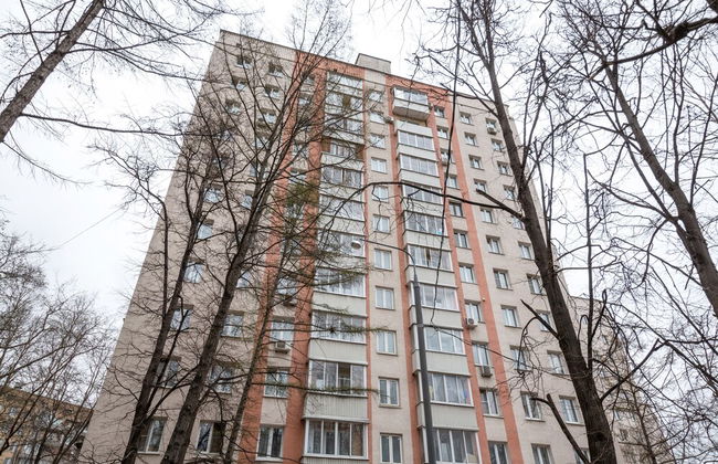 Donskoy Studio - Photo 14