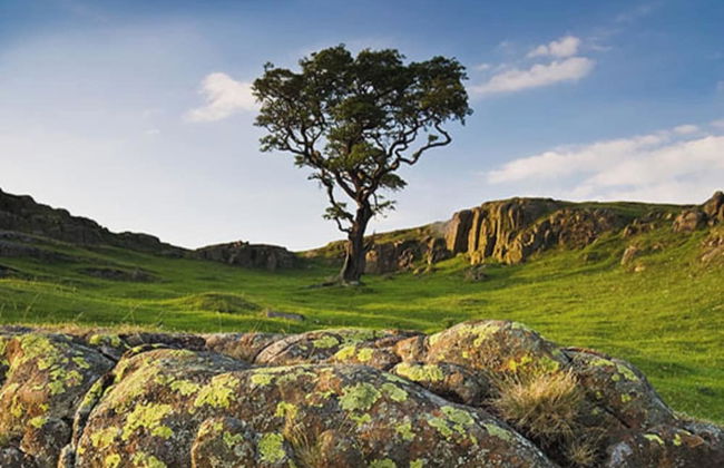 Tranquil 3 Bed - All En Suite - Cottage in Hexham - Foto 6