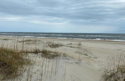 Shores Heaven - Foto 9