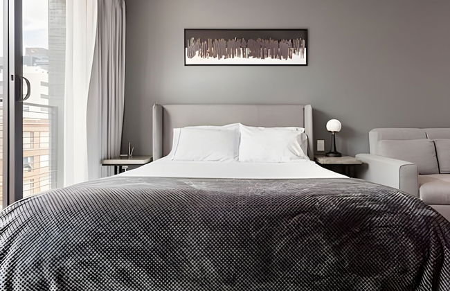 Morph Chico - Foto 23